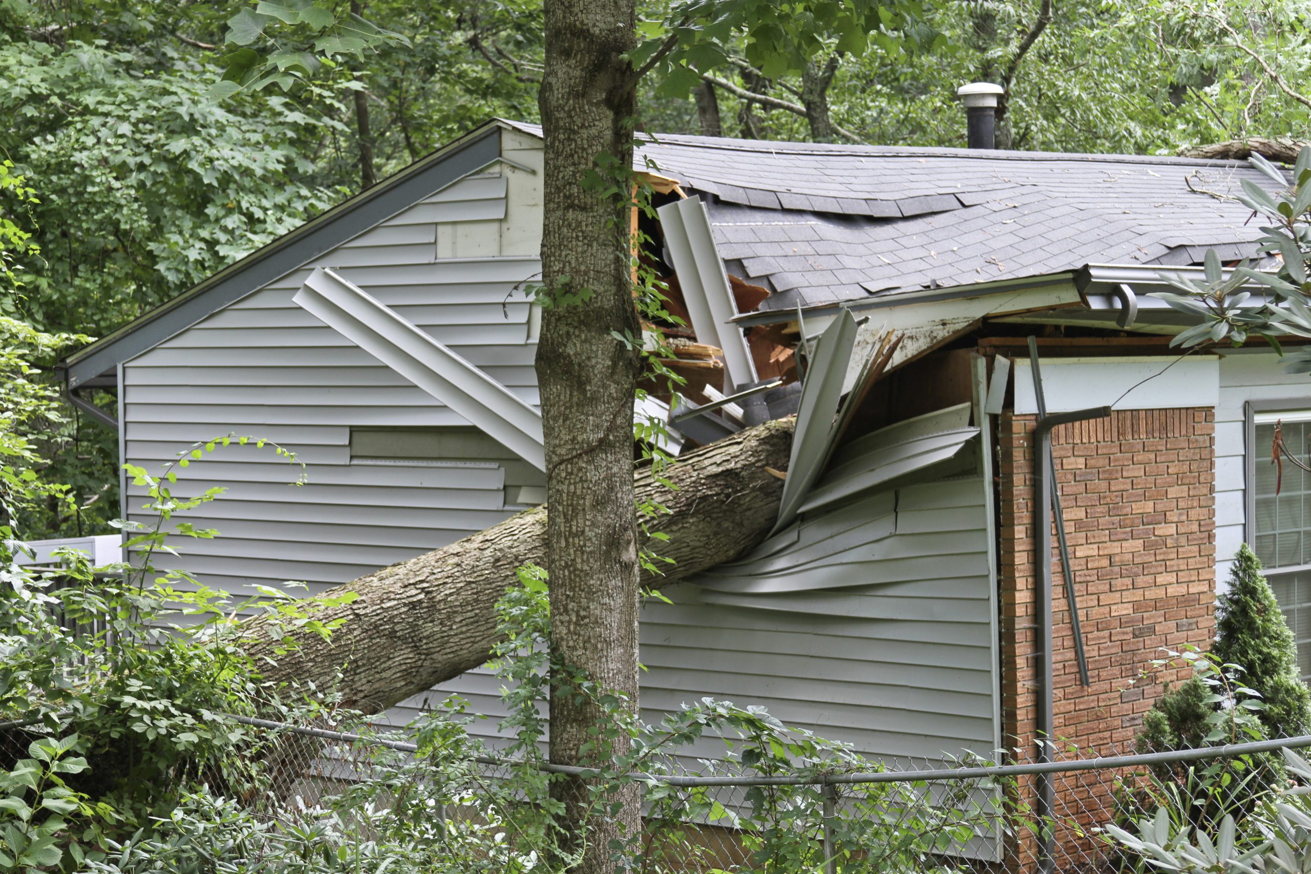 Blog - Small House Crushed By a Large Oak Tree