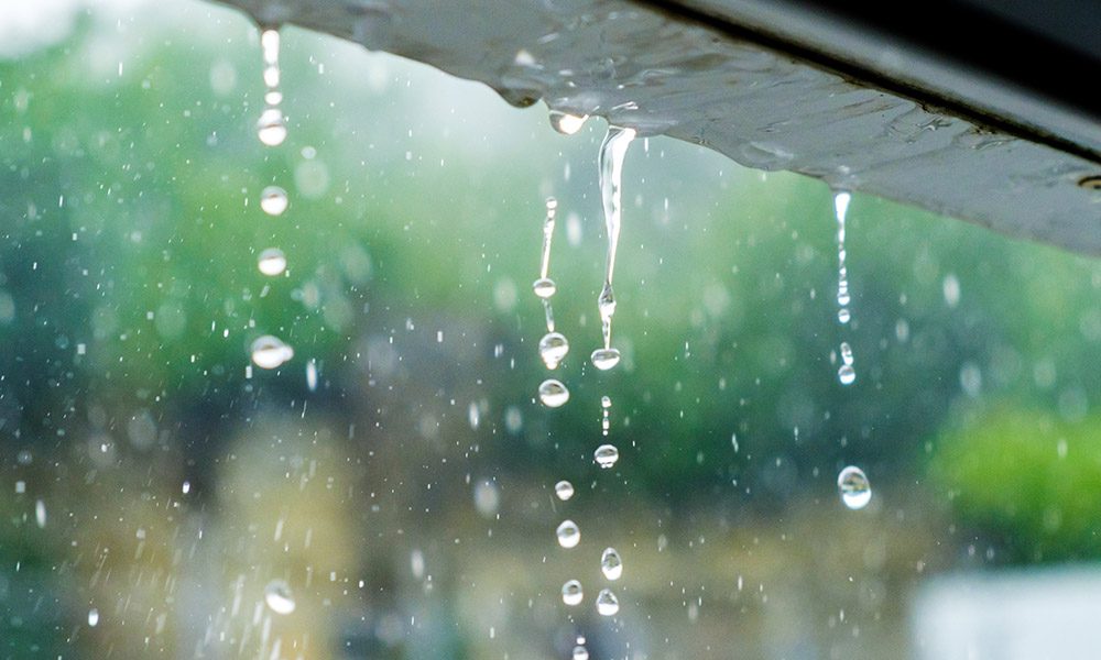 Blog - Heavy Rain? Be on the Lookout for Heavy Damage